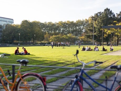 Campus universitaire