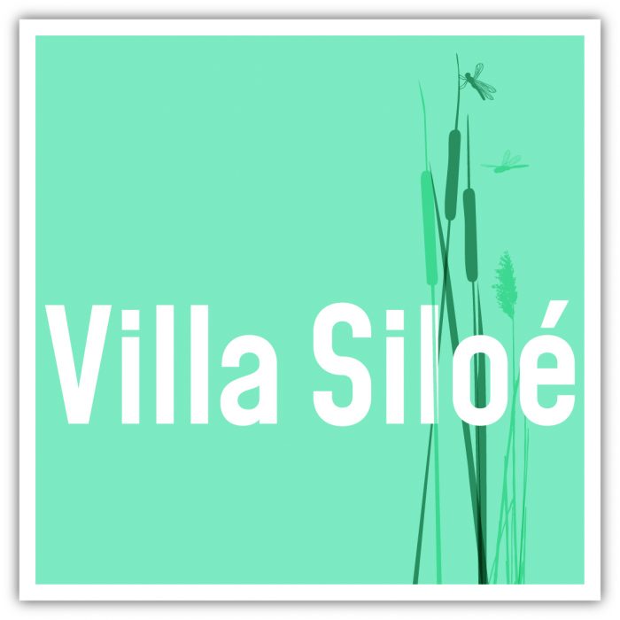 logo villaSiloe simple