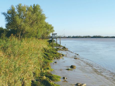 Bord de la Garonne