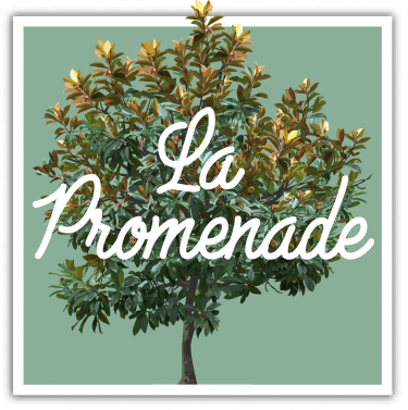 Logo programme immobilier appartements neufs P2i