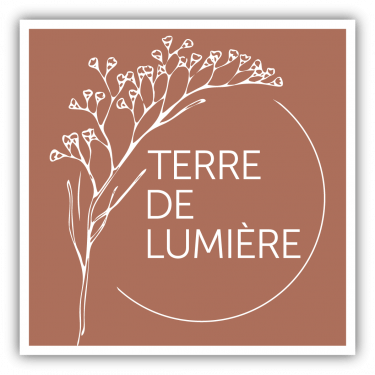 logo programme immobilier TERRE DE LUMIERE P2i