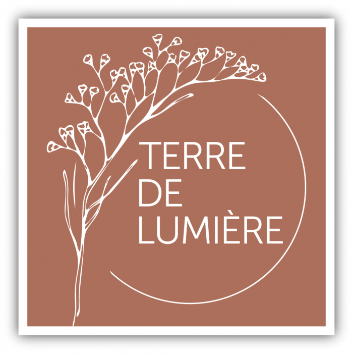 logo programme immobilier TERRE DE LUMIERE P2i
