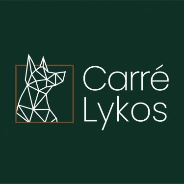Carré Lykos Saint-Loubès locaux d'activités
