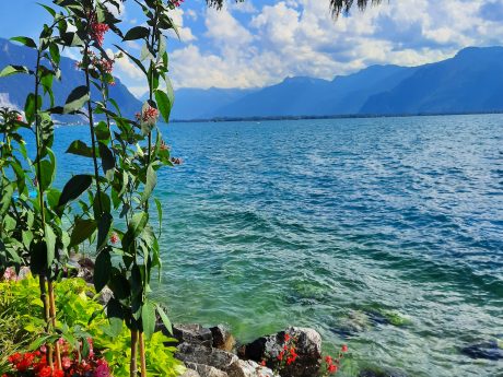 Lac Léman